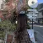 mのプロフィール画像