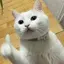 すのプロフィール画像