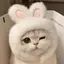 まりかのプロフィール画像