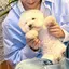 さーのプロフィール画像