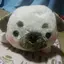 梨恵のプロフィール画像