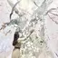 hのプロフィール画像