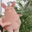 カンのプロフィール画像