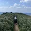 ツグミのプロフィール画像