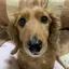 Rikaのプロフィール画像