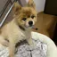 Mariiiのプロフィール画像