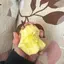 Shinoのプロフィール画像