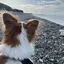 しおんのプロフィール画像