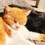 ねこのプロフィール画像
