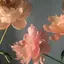 hanaのプロフィール画像