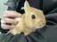 あちゃんのプロフィール画像