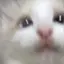 あのプロフィール画像
