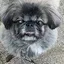 実莉のプロフィール画像