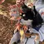 sakiのプロフィール画像