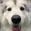 Rのプロフィール画像