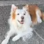 yoc_Lukeのプロフィール画像