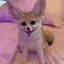 みみのプロフィール画像