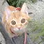 かわとのプロフィール画像