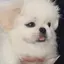ののプロフィール画像