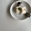 ことのプロフィール画像