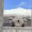ヤンのプロフィール画像