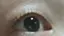しんてぃのプロフィール画像