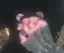 🐰💖のプロフィール画像