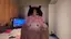 あこのプロフィール画像