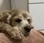 moiのプロフィール画像