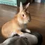 Kahoのプロフィール画像