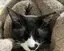 あさかのプロフィール画像
