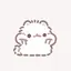 ぽこちゃんのプロフィール画像