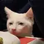 もちこのプロフィール画像