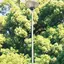 RIのプロフィール画像