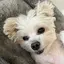 サオのプロフィール画像