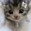 ⋆☽︎︎·̩͙のプロフィール画像
