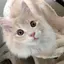 ひろのプロフィール画像