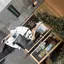 大介のプロフィール画像