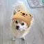 Hiroeのプロフィール画像