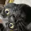 おくむのプロフィール画像