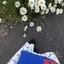 うずらたらこのプロフィール画像