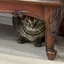 隆子のプロフィール画像