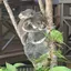yのプロフィール画像