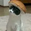 ru__nyaのプロフィール画像