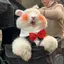 nのプロフィール画像