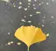 紅岩のプロフィール画像