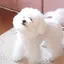 ねのプロフィール画像