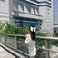朱音のプロフィール画像