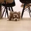 rrrのプロフィール画像