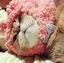 真琴のプロフィール画像